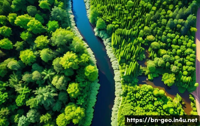 지리학 연구소 - A detailed aerial view of a lush forest landscape undergoing environmental changes, captured with hi...