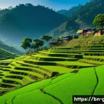 Home 19 지리학적 특성과 생활 환경 - A vibrant mountainous landscape in northern Bangladesh during early morning, showcasing terraced far...