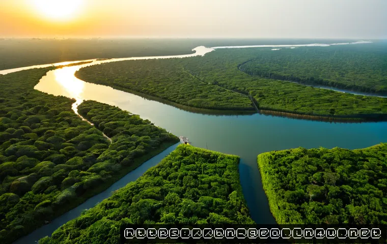 지리학적 자원 관리 - Photorealistic aerial view of a coastal Bangladesh mangrove landscape managed for natural resources,...